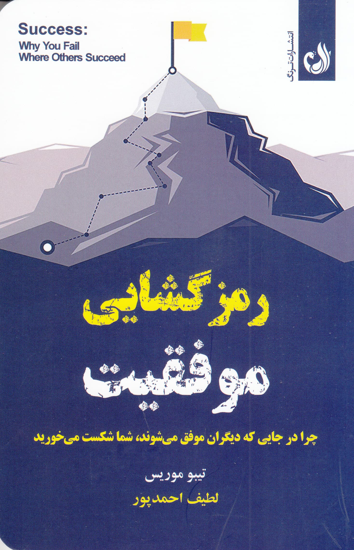 رمزگشایی موفقیت (چرا در جایی که دیگران موفق میشوند شما شکست میخورید)