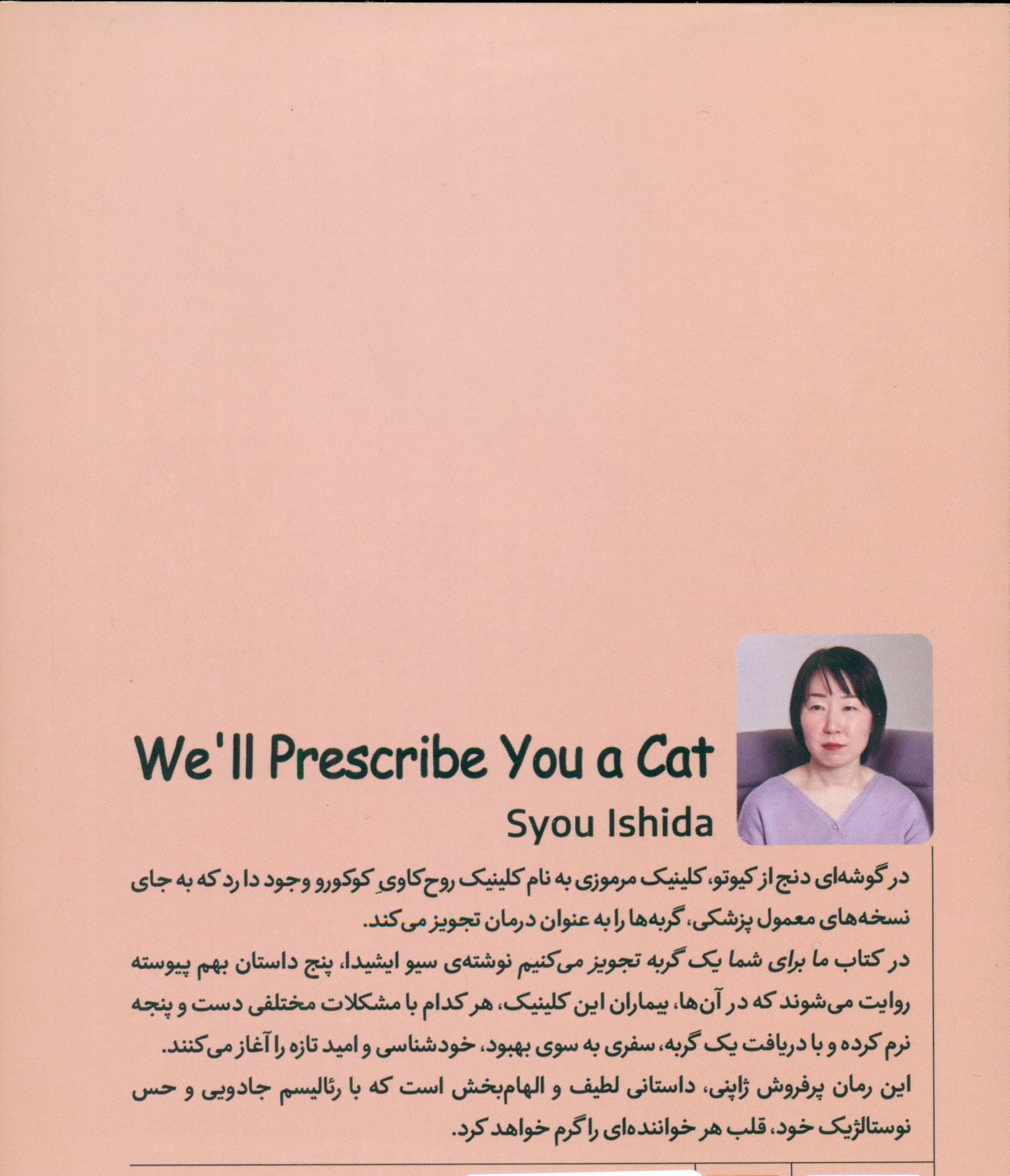 تجویز ما برای شما 1 گربه است (ما برای شما 1 گربه تجویز می‌کنیم)