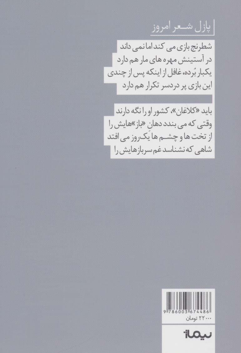 بیمار بعدی (پازل شعر امروز)