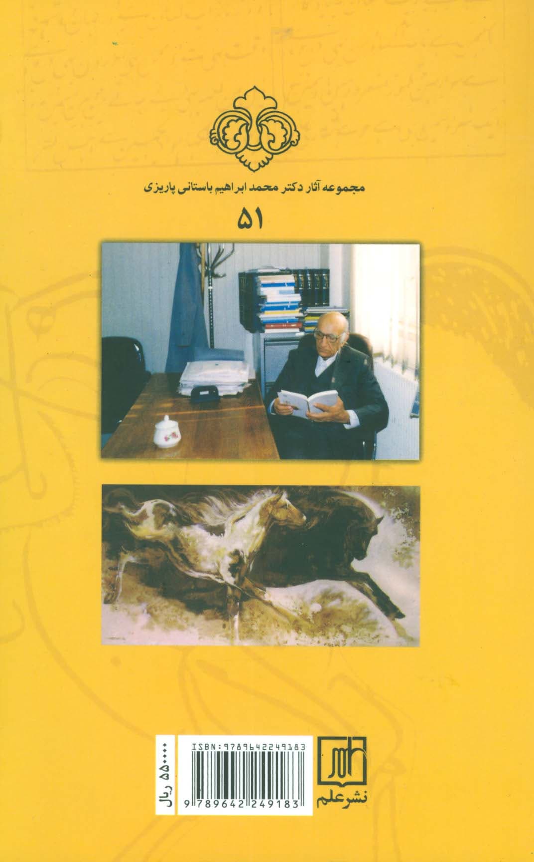 در شهر نی سواران