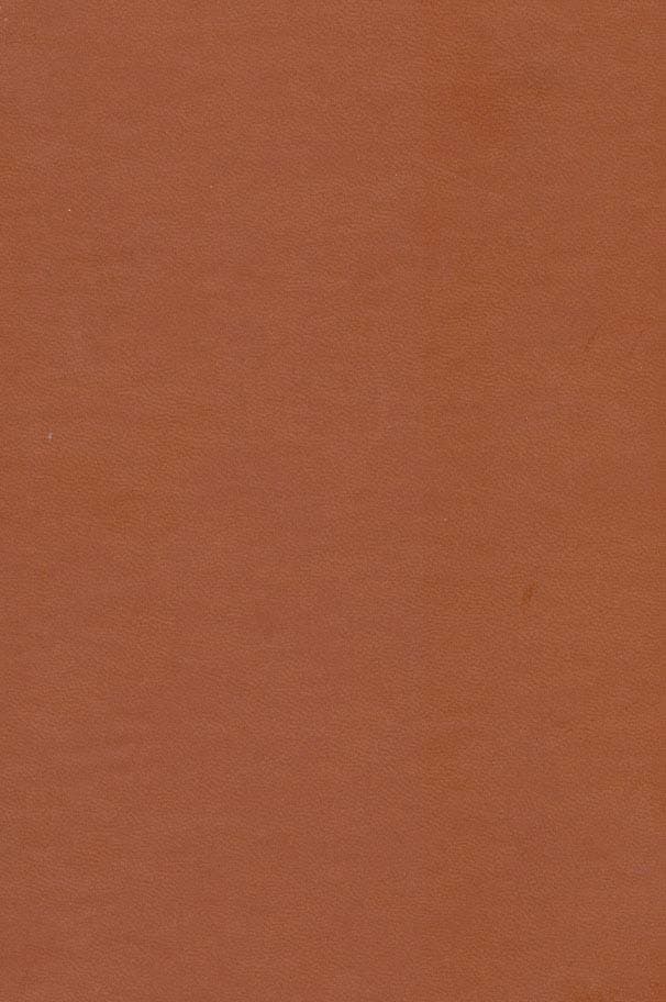 مثنوی های عطار آسان خوان (منطق الطیر،اسرار نامه،الهی نامه،مصیبت نامه)،(چرم،پل دار)