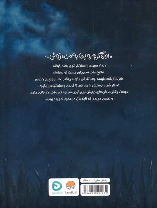 گربه ی سیزدهم