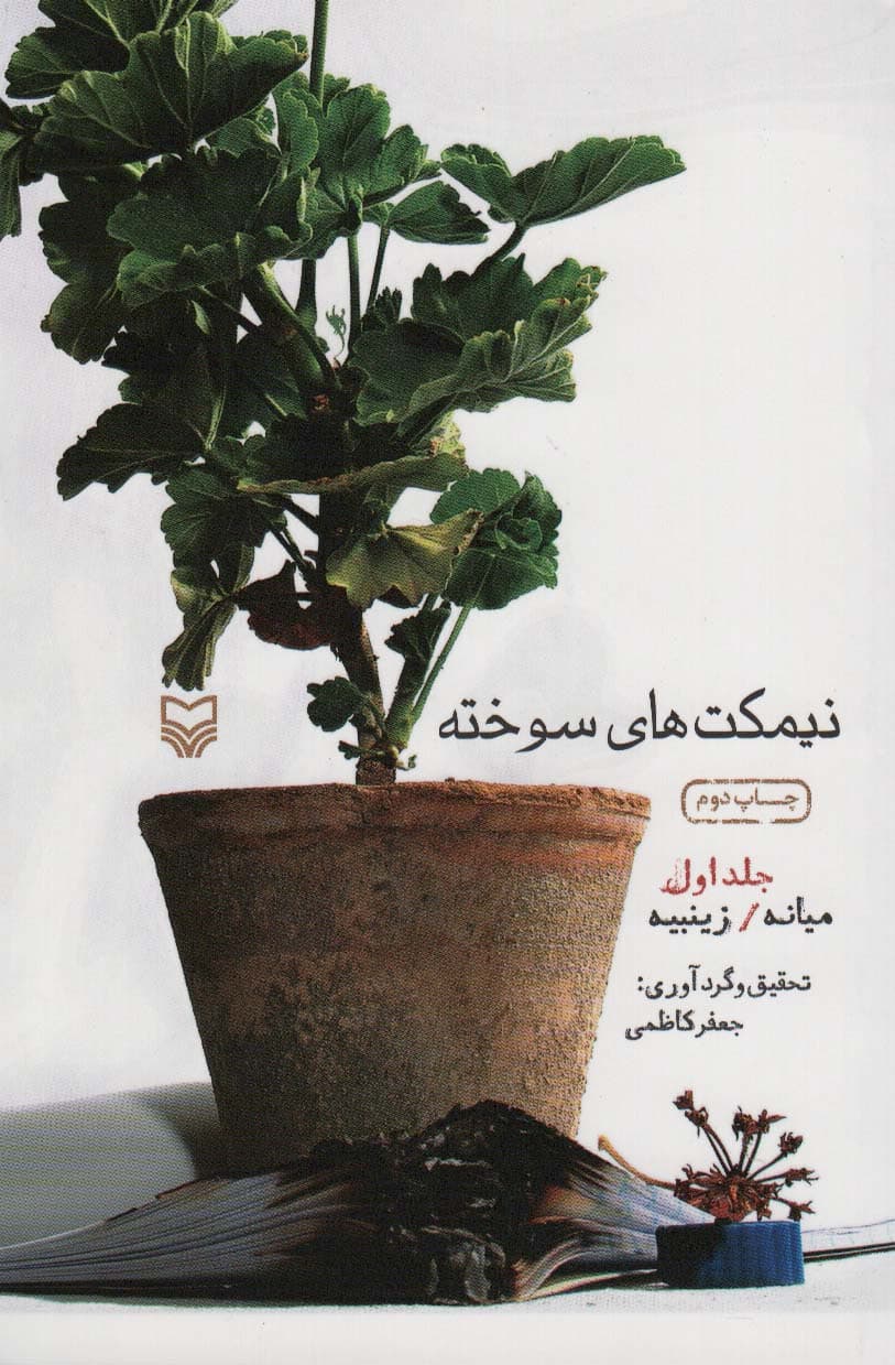 نیمکت های سوخته 1 (میانه/زینبیه)