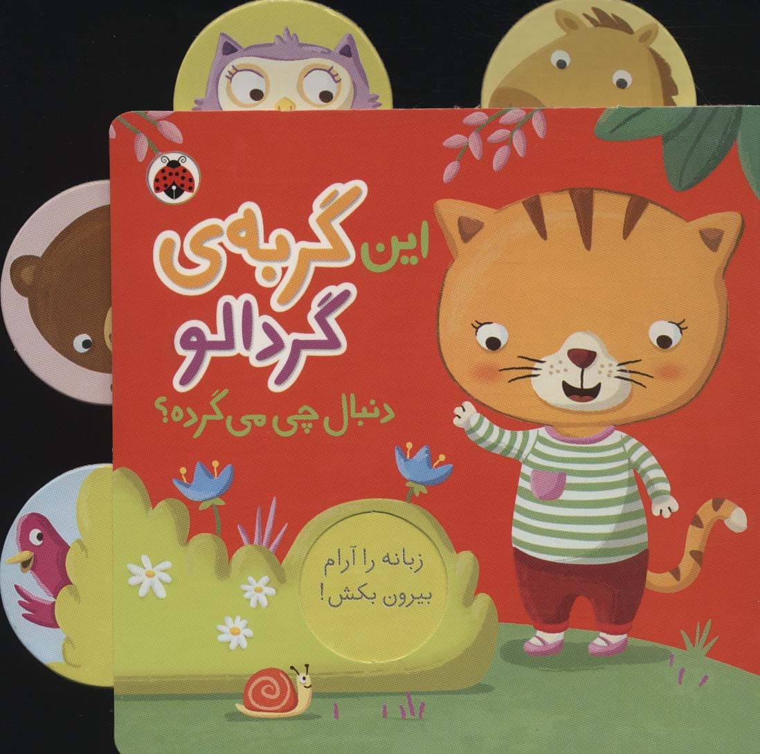 این گربه ی گردالو (دنبال چی می گرده؟)،(کتاب کشویی)