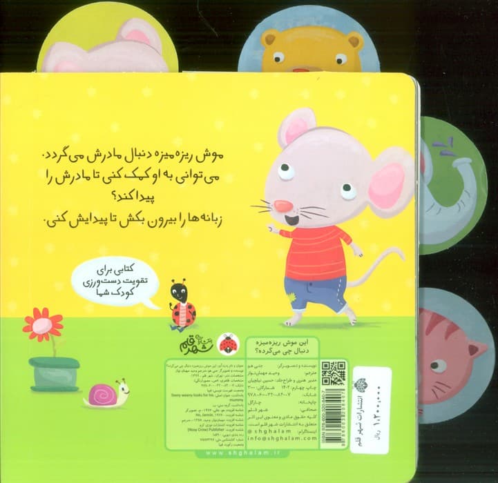 این موش ریزه میزه (دنبال چی می گرده؟)،(کتاب کشویی)