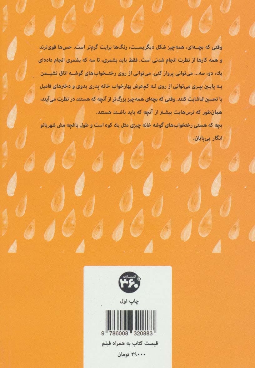 تردیدهای یک شب بارانی