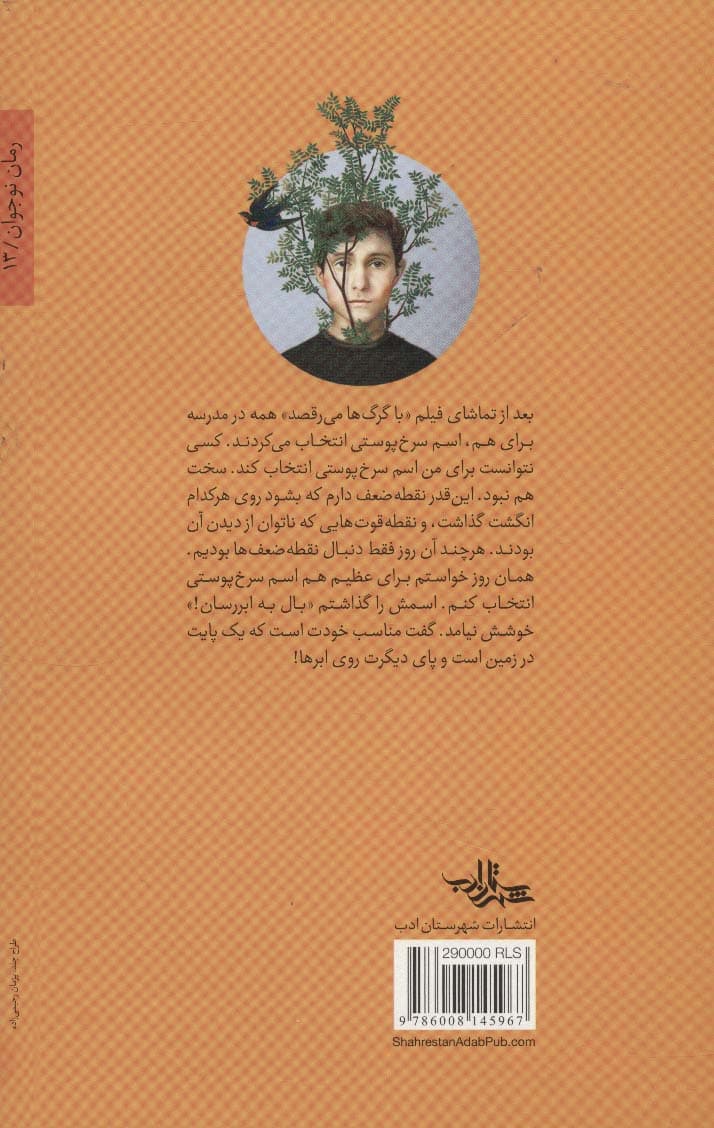 روی سیم تار (رمان نوجوان13)