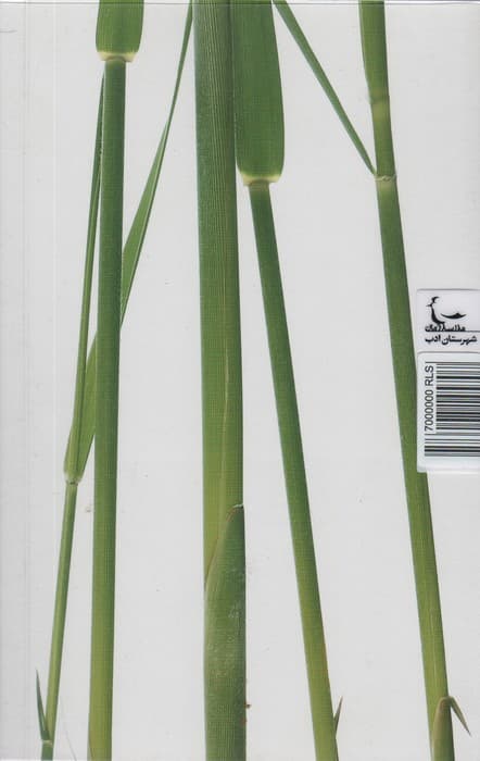 پس از بیست سال