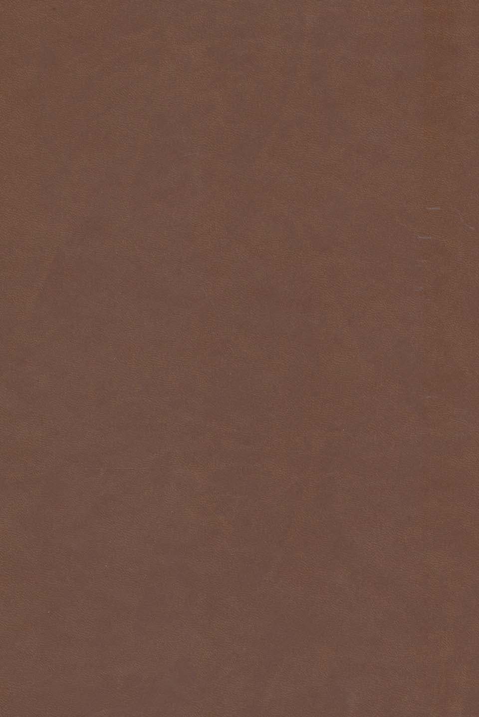 رباعیات حکیم عمر خیام با مینیاتور (5زبانه،گلاسه،چرم،لیزری،باقاب)