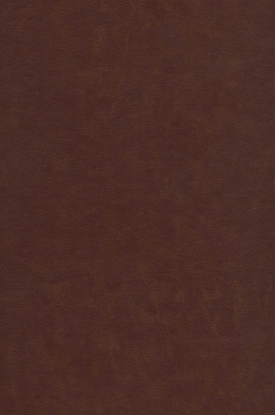 رباعیات حکیم عمر خیام (2زبانه،گلاسه،چرم،پلاک دار،لیزری،باقاب)