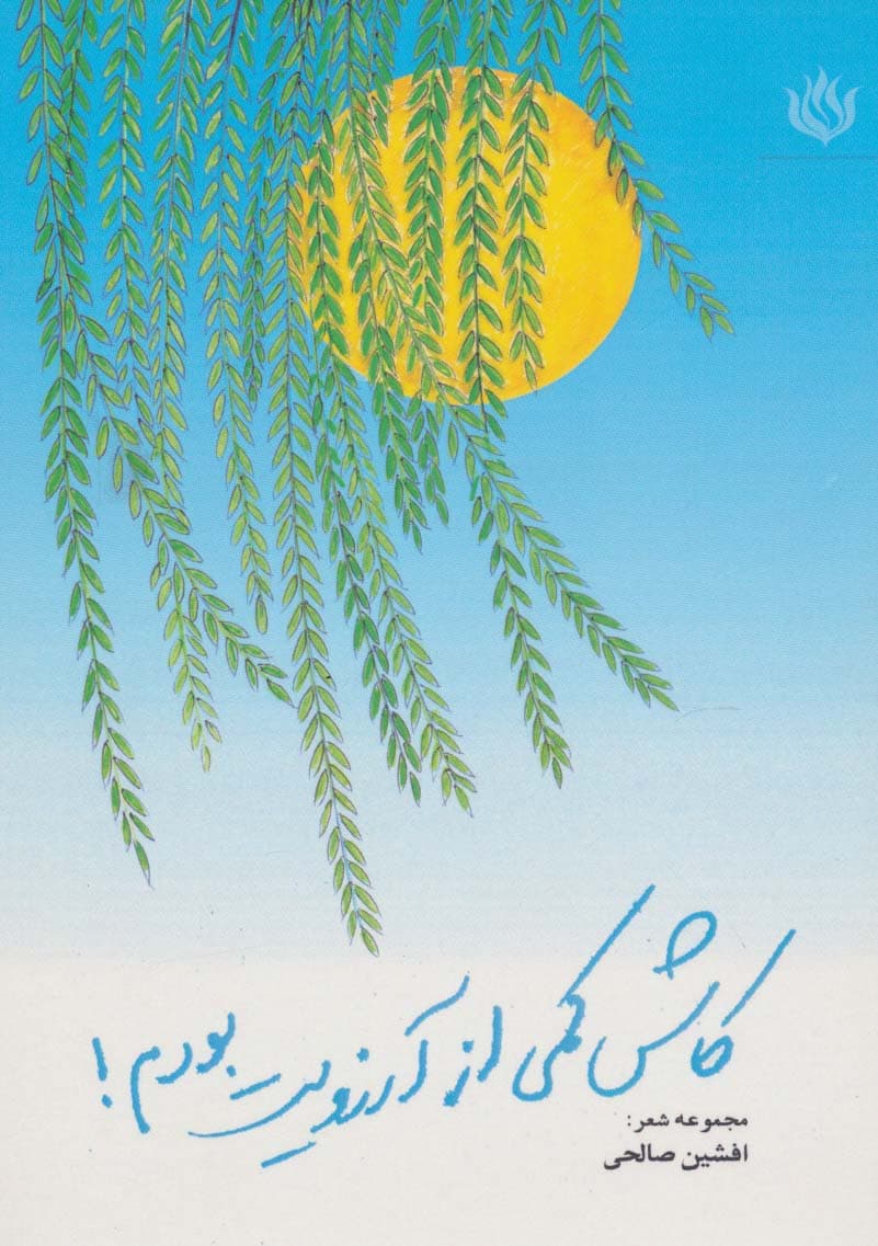 کاش کمی از آرزویت بودم! (مجموعه شعر)