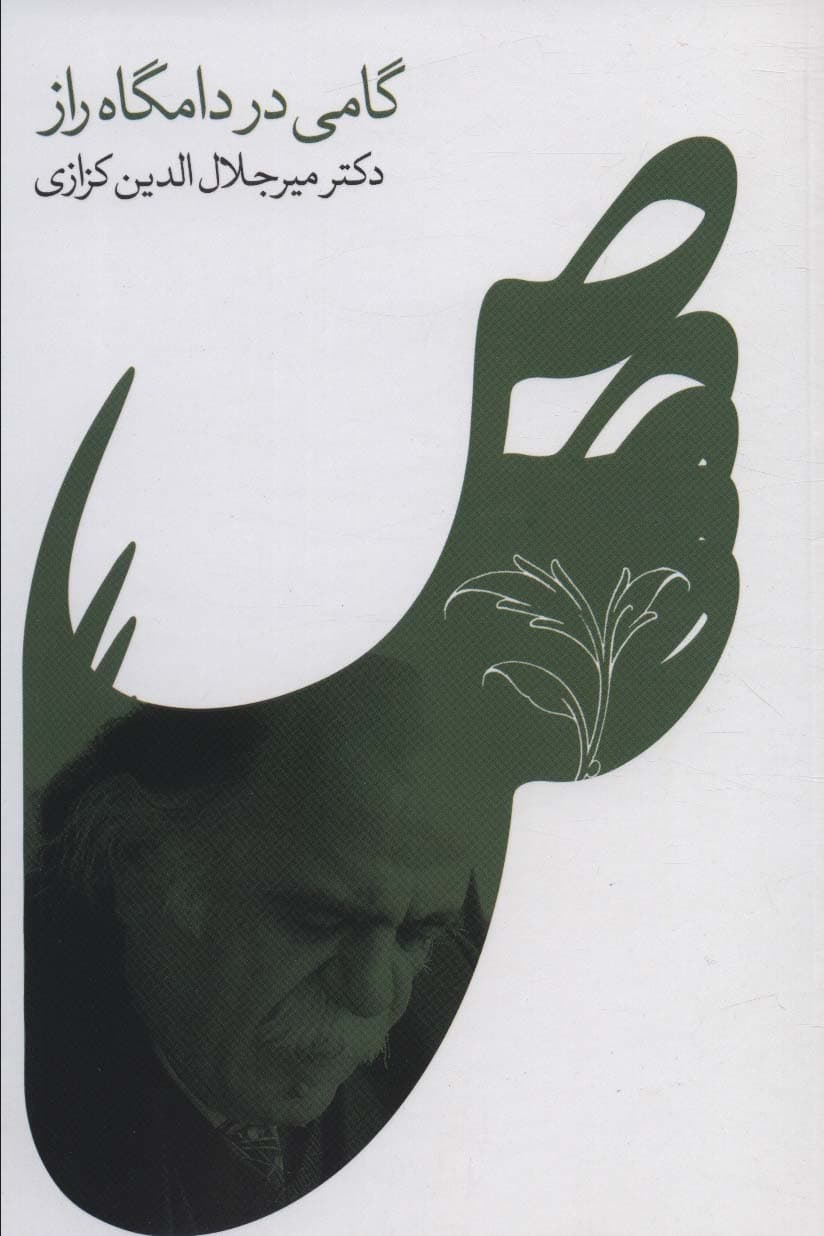 گامی در دامگاه راز