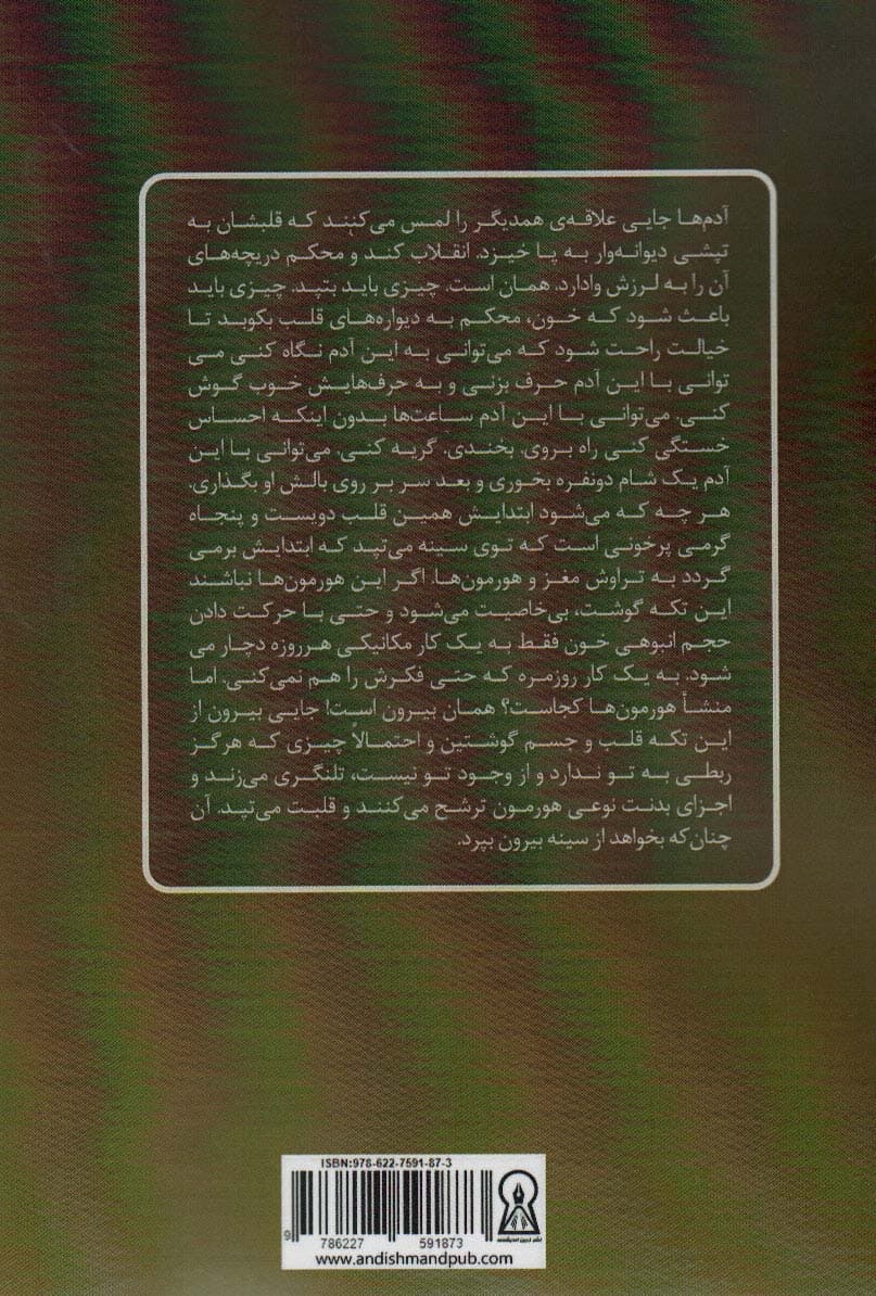 در مکتب مرغان