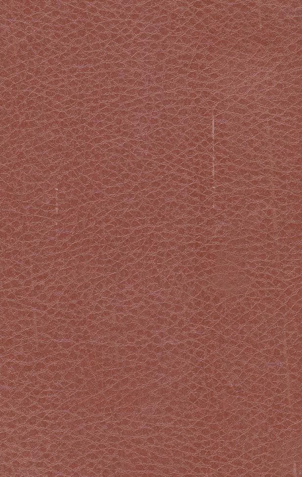 میشل استروگف (چرم،لب طلایی)