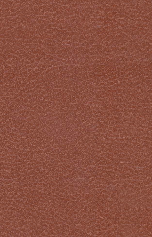 بیست هزار فرسنگ زیر دریا (چرم،لب طلایی)