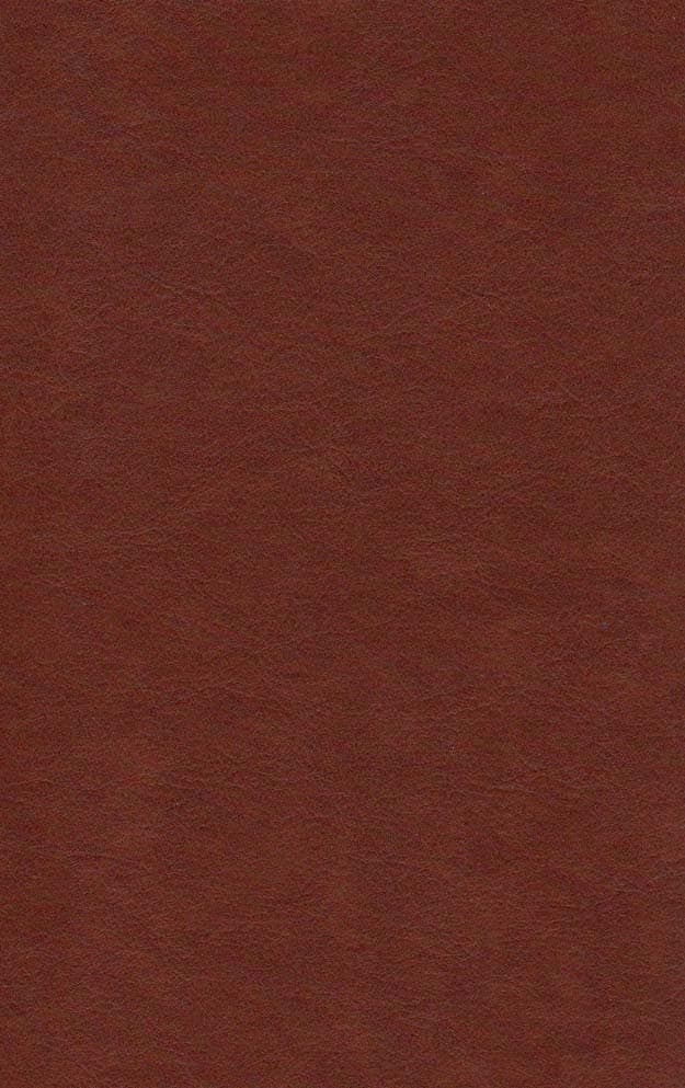 پاسارگاد (2زبانه،چرم)