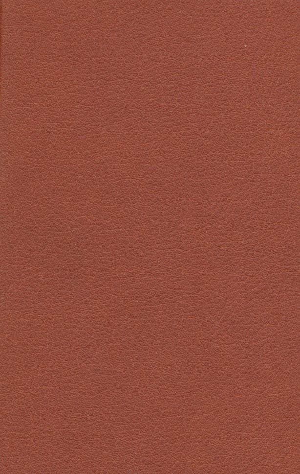 دور دنیا در هشتاد روز (چرم،لب طلایی)