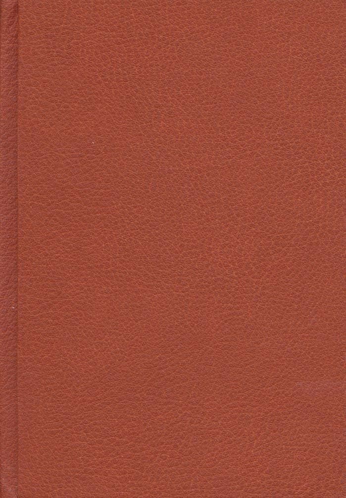 شهر زیر زمینی (چرم،لب طلایی)