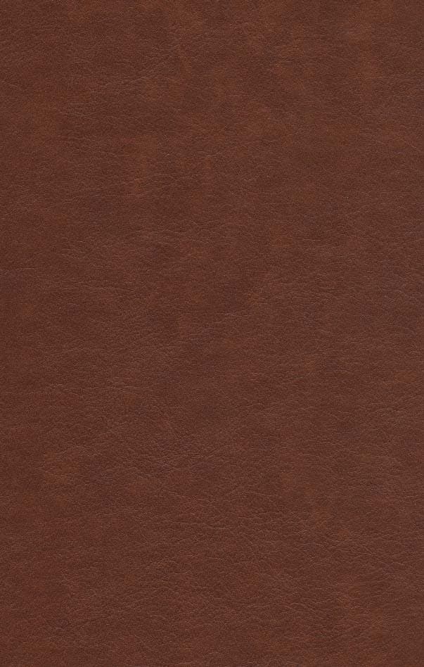 منتخب مفاتیح اهل بیت (ع)،(گلاسه،چرم)