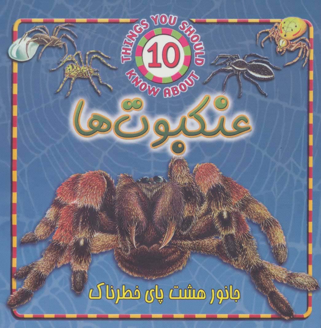 عنکبوت ها (جانور هشت پای خطرناک)،(گلاسه)