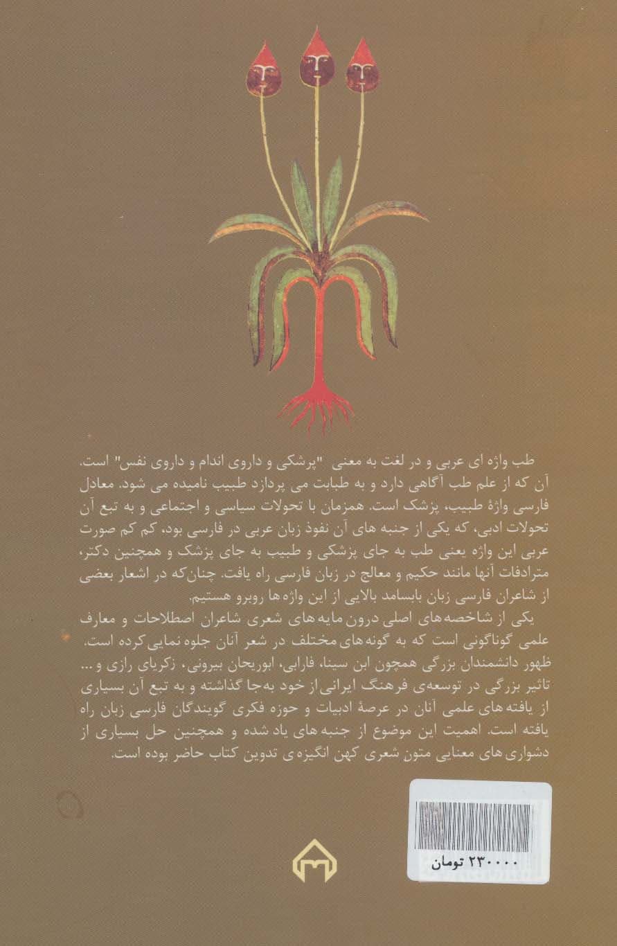 طب و مضامین طبی و بازتاب آن در ادب فارسی