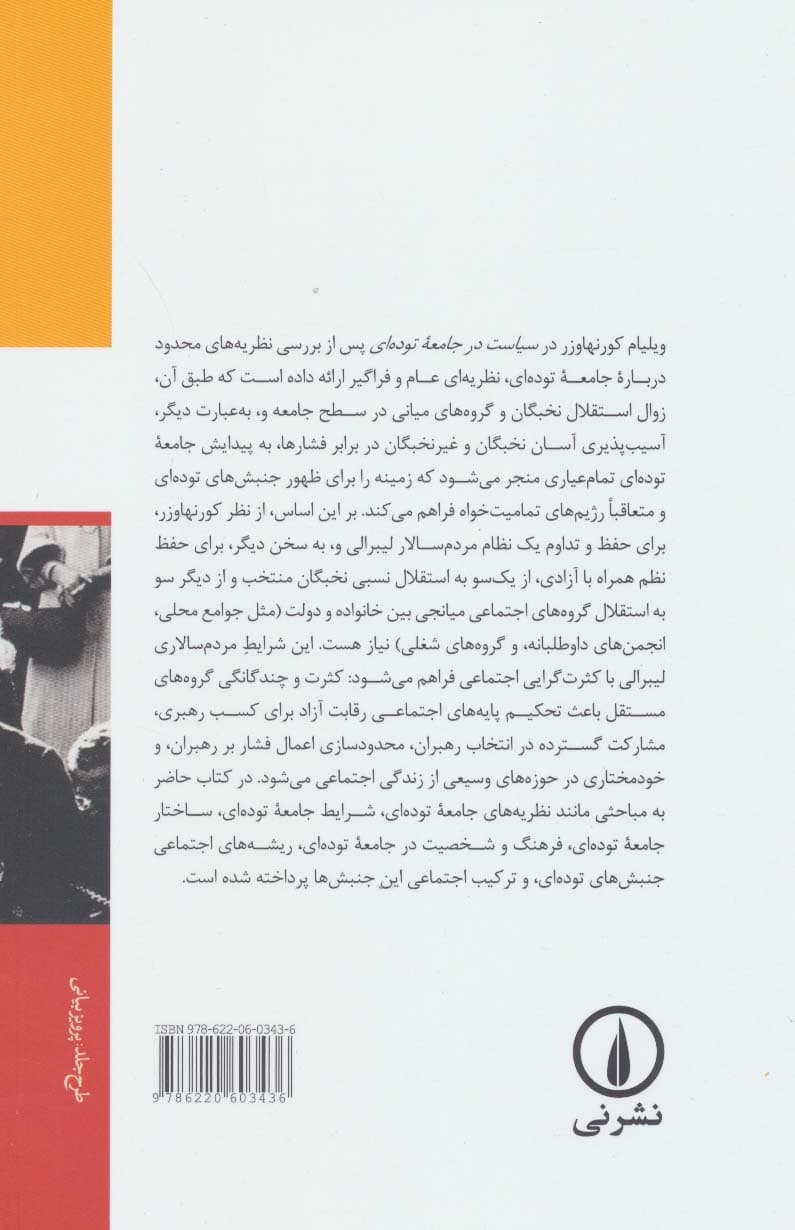 سیاست در جامعه توده ای