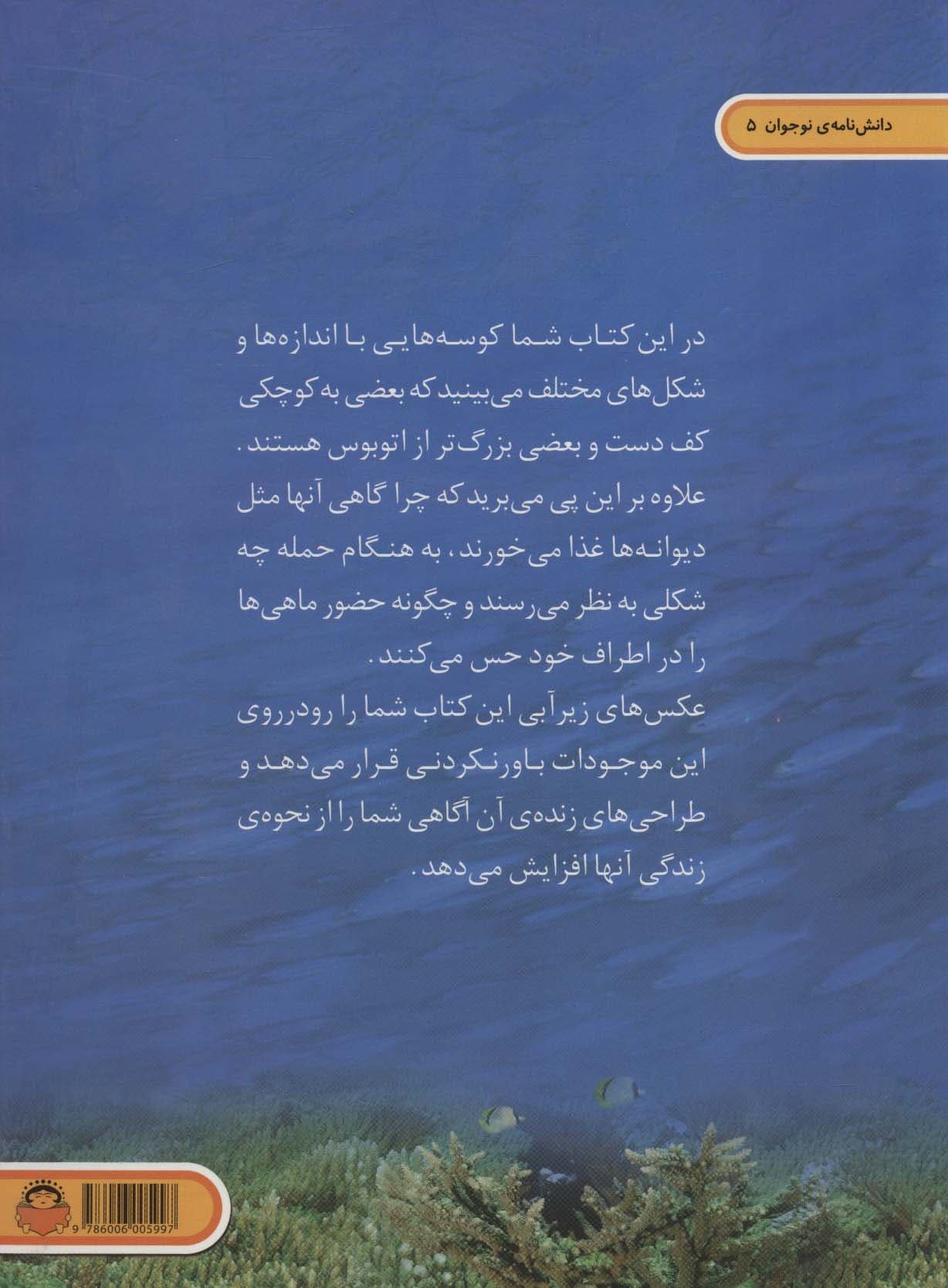 دنیای هیجان انگیز کوسه ها (دانش نامه ی نوجوان 5)،(گلاسه)