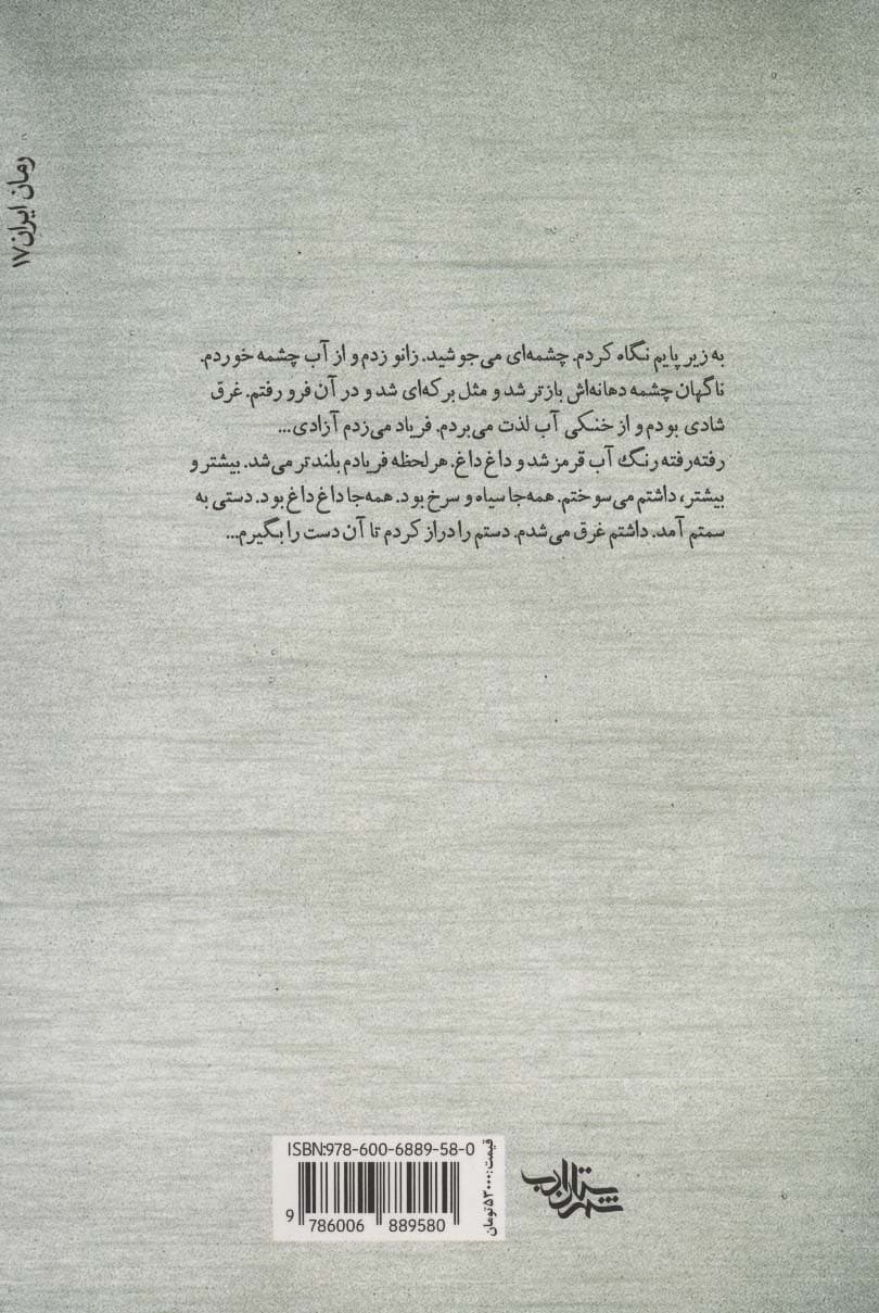 روزگار فراموش شده (داستان ما،رمان ایران17)