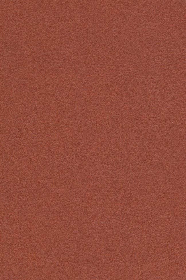 ایزابلا (چرم،لب طلایی)