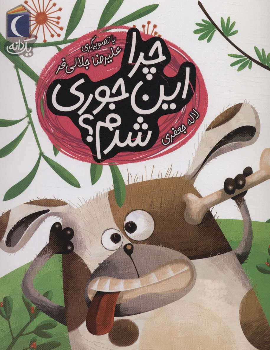 چرا این جوری شدم؟ (یک دانه)