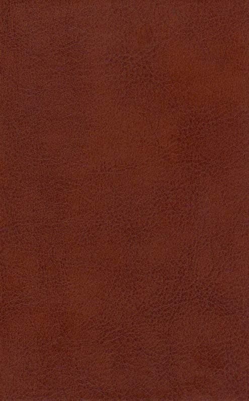 لیلی و مجنون (چرم،پلاک دار،لیزری،باقاب)