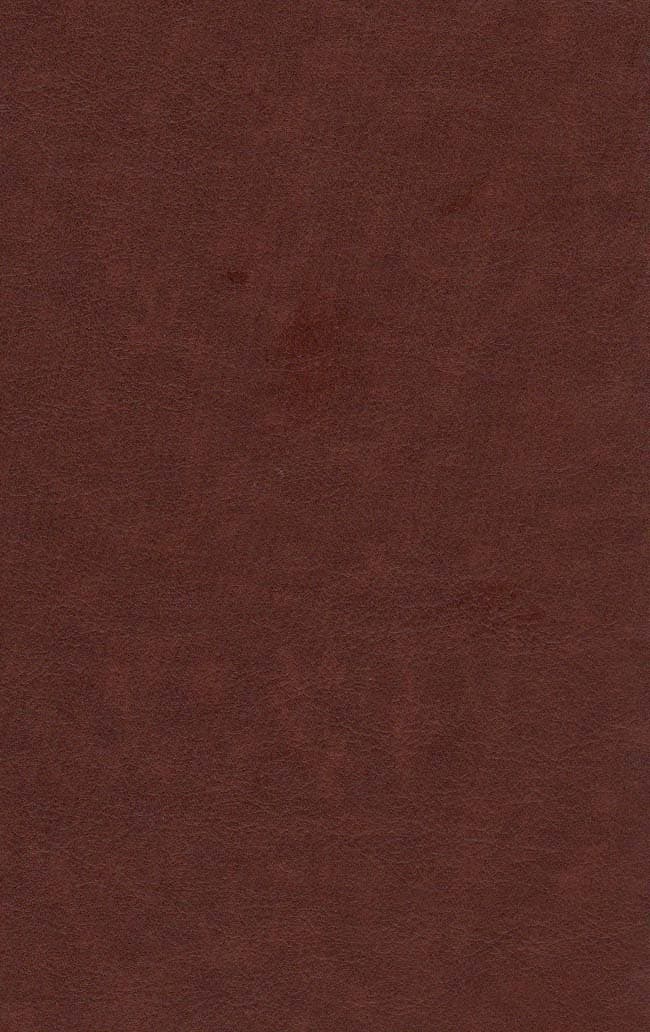 لیلی و مجنون (چرم،پلاک دار،لیزری،باقاب)