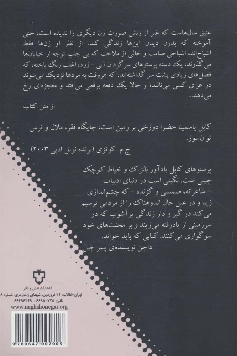 پرستوهای کابل