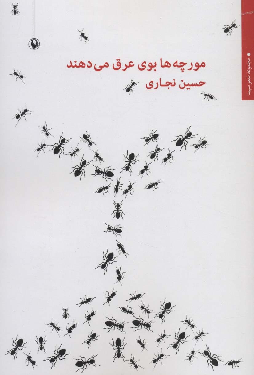 مورچه ها بوی عرق می دهند (شعر سپید)