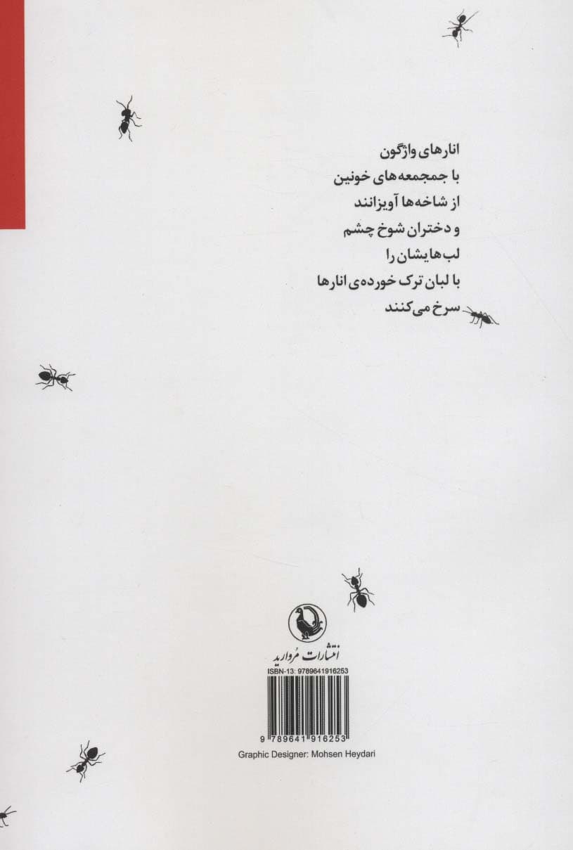 مورچه ها بوی عرق می دهند (شعر سپید)