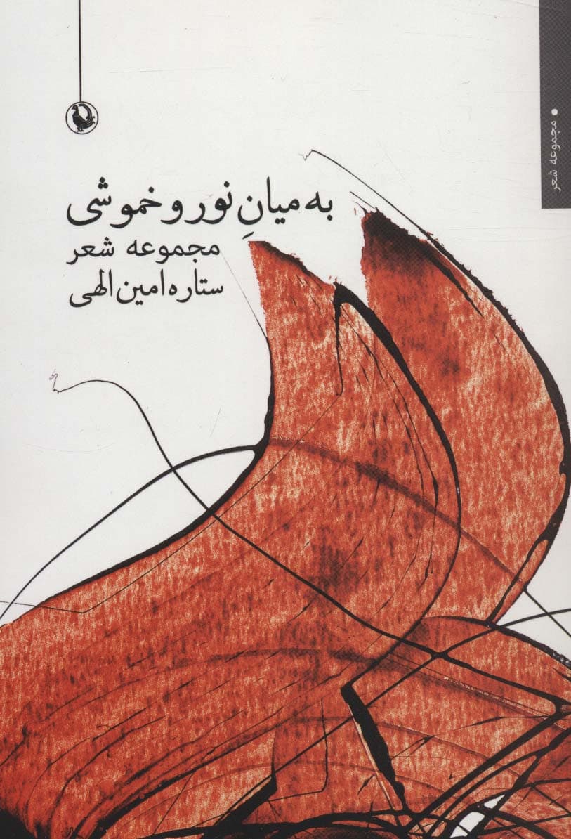 به میان نور و خموشی (مجموعه شعر)