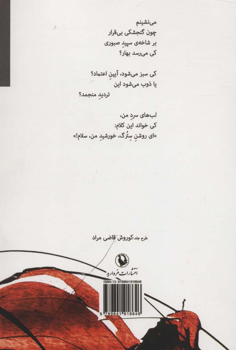 به میان نور و خموشی (مجموعه شعر)