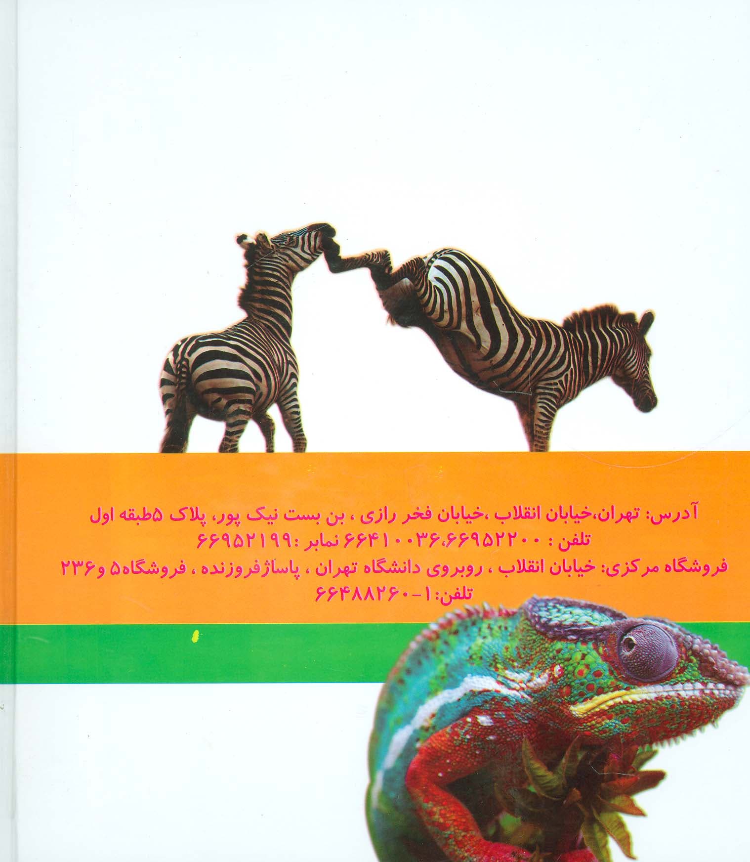 مجموعه چرا حیوانات خزوپر،بال و باله،پنجه و چنگال،فلس و صدف،دهان و دنداندارند؟ (گلاسه)