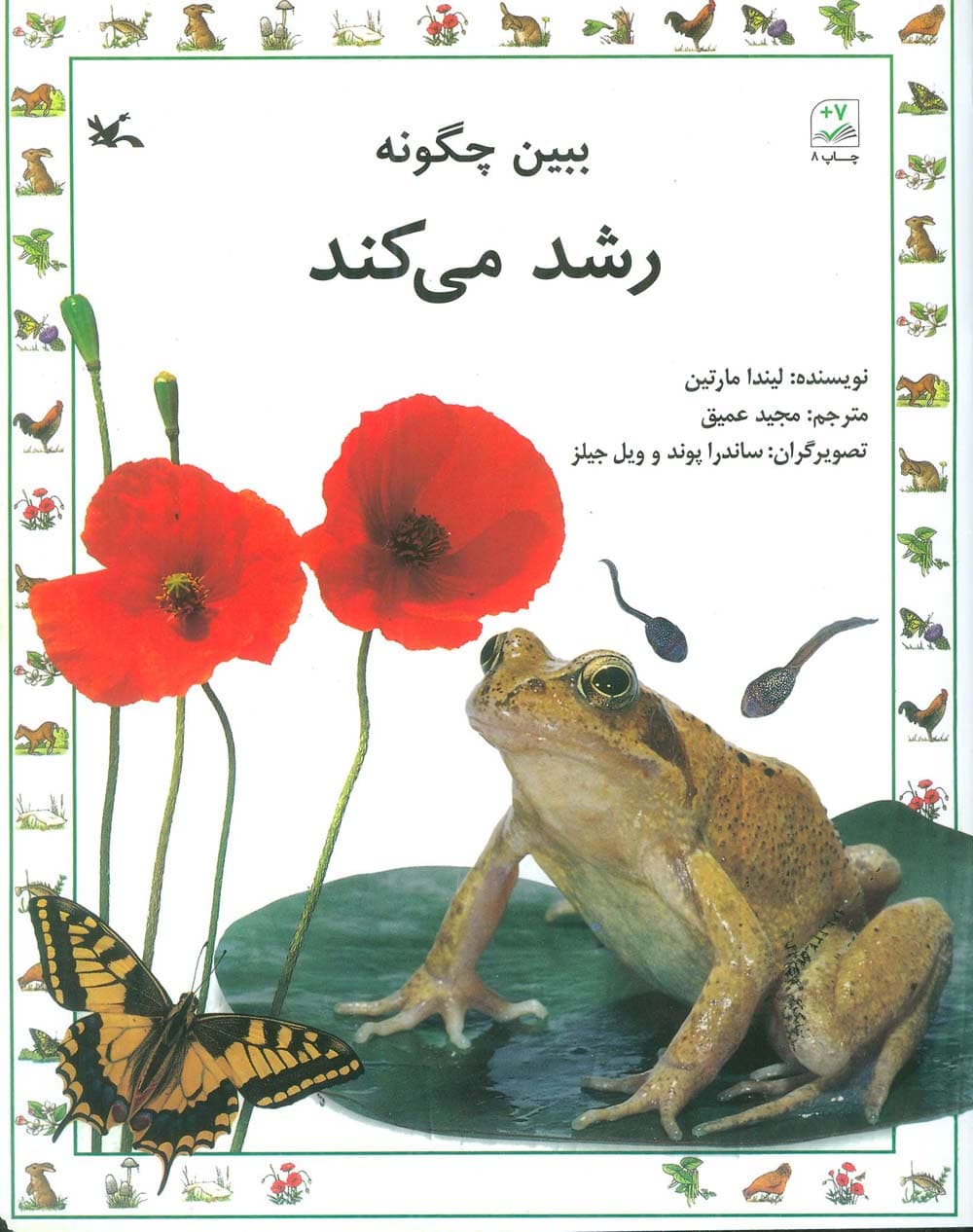 ببین چگونه رشد می کند