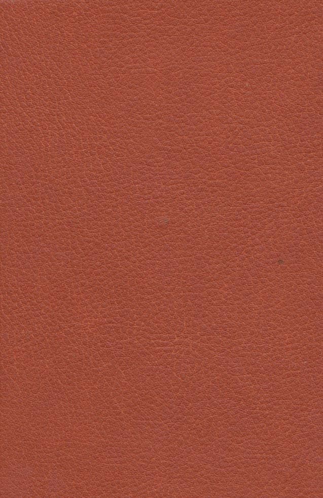 آتوسا دختر کوروش بزرگ (چرم)