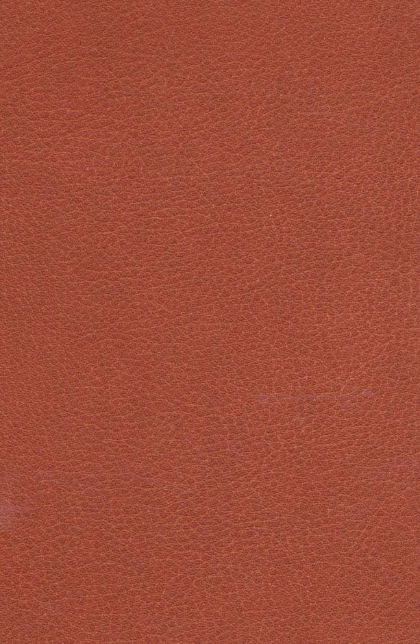 آذرمیدخت (چرم،لب طلایی)