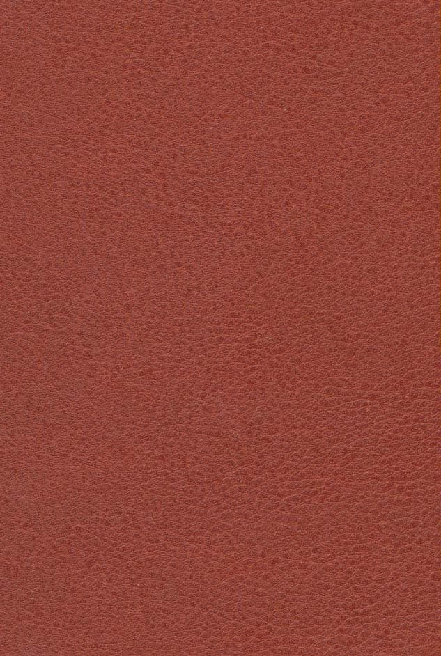 لطفعلی خان زند (دلاور زند)،(چرم،لب طلایی)