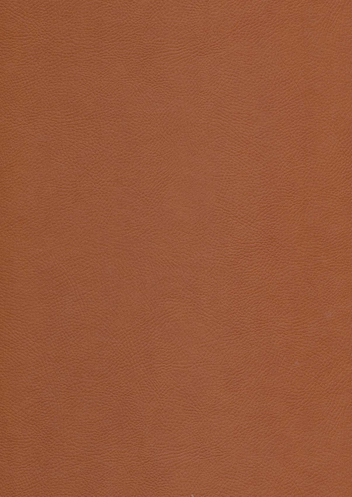 ساغر و ساقی (5رنگ،2زبانه،گلاسه،باجعبه،ترمو،لب طلایی)