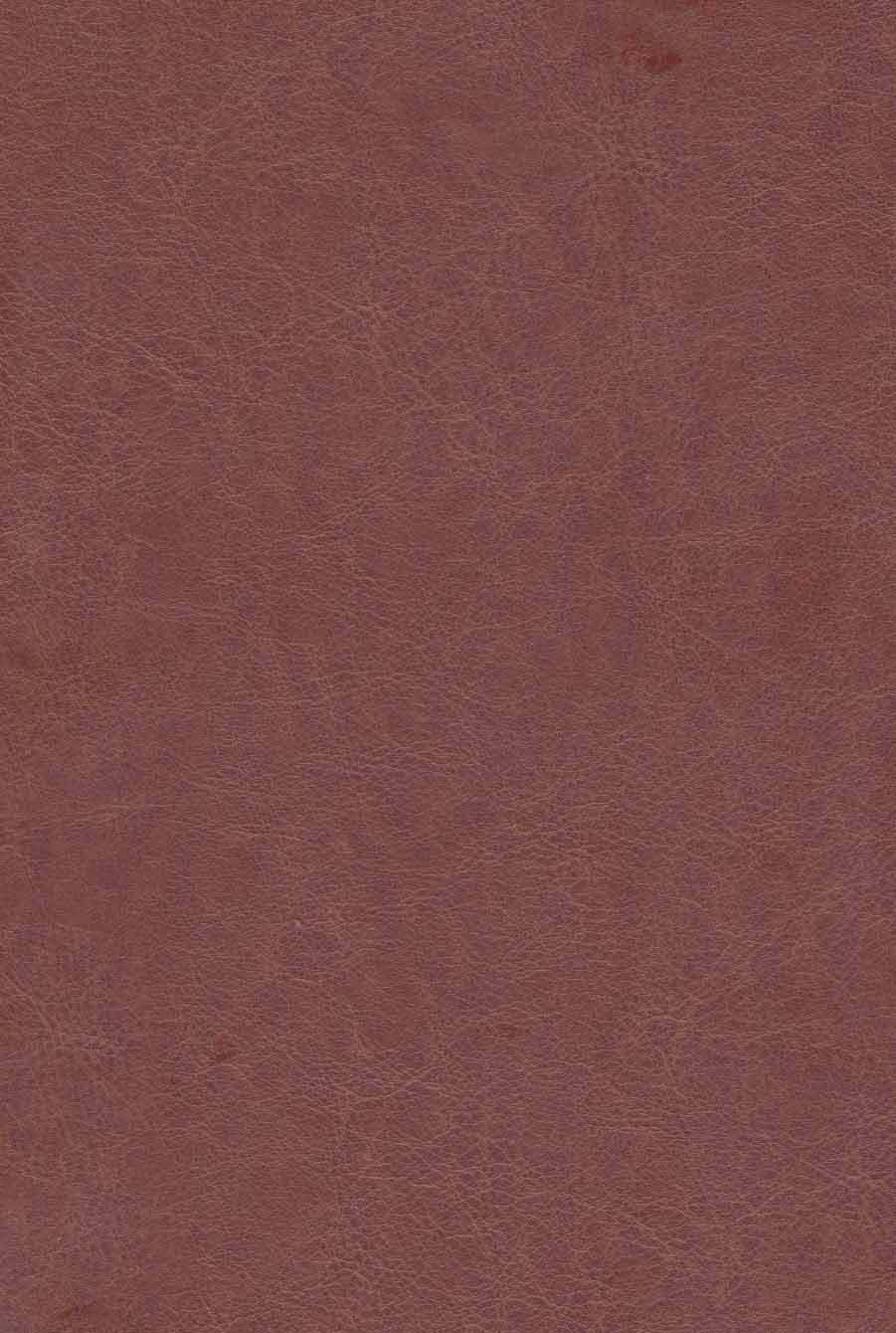 صحیفه سجادیه (باقاب،ترمو،لیزری)