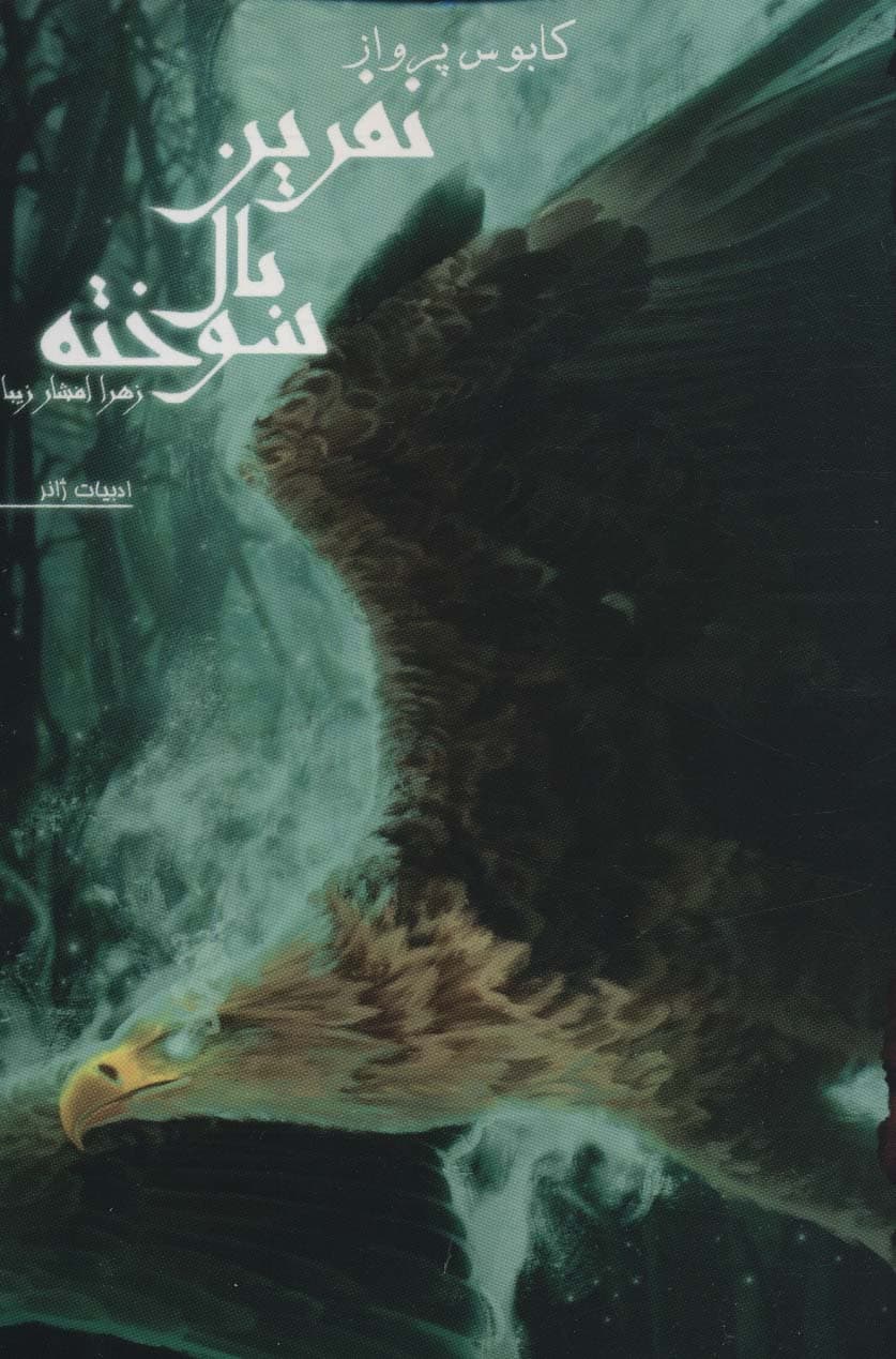 نفرین بال سوخته 1 (کابوس پرواز)