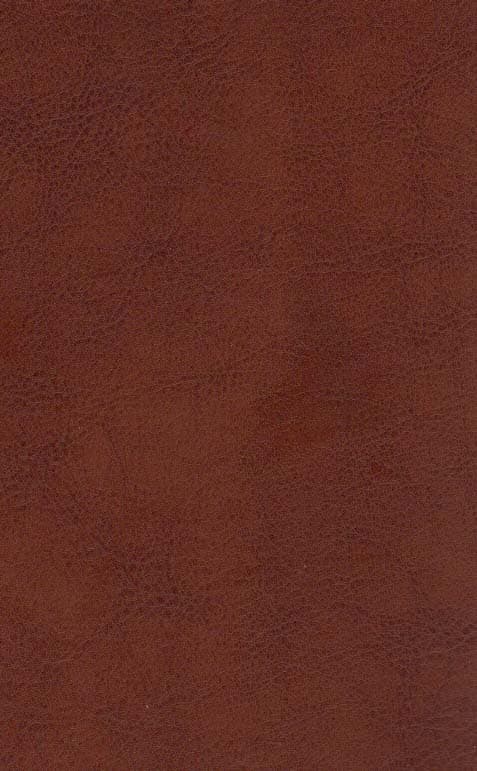 دیوان حافظ (چرم،پلاک دار،لیزری،باقاب)