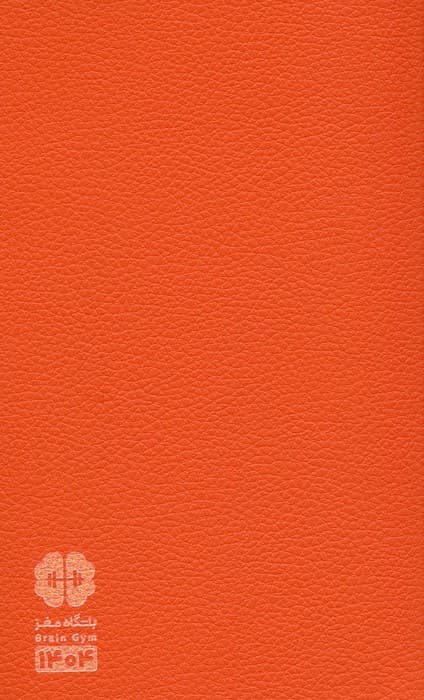 سالنامه باشگاه مغز اروپایی 1404 (چند رنگ،چرم)