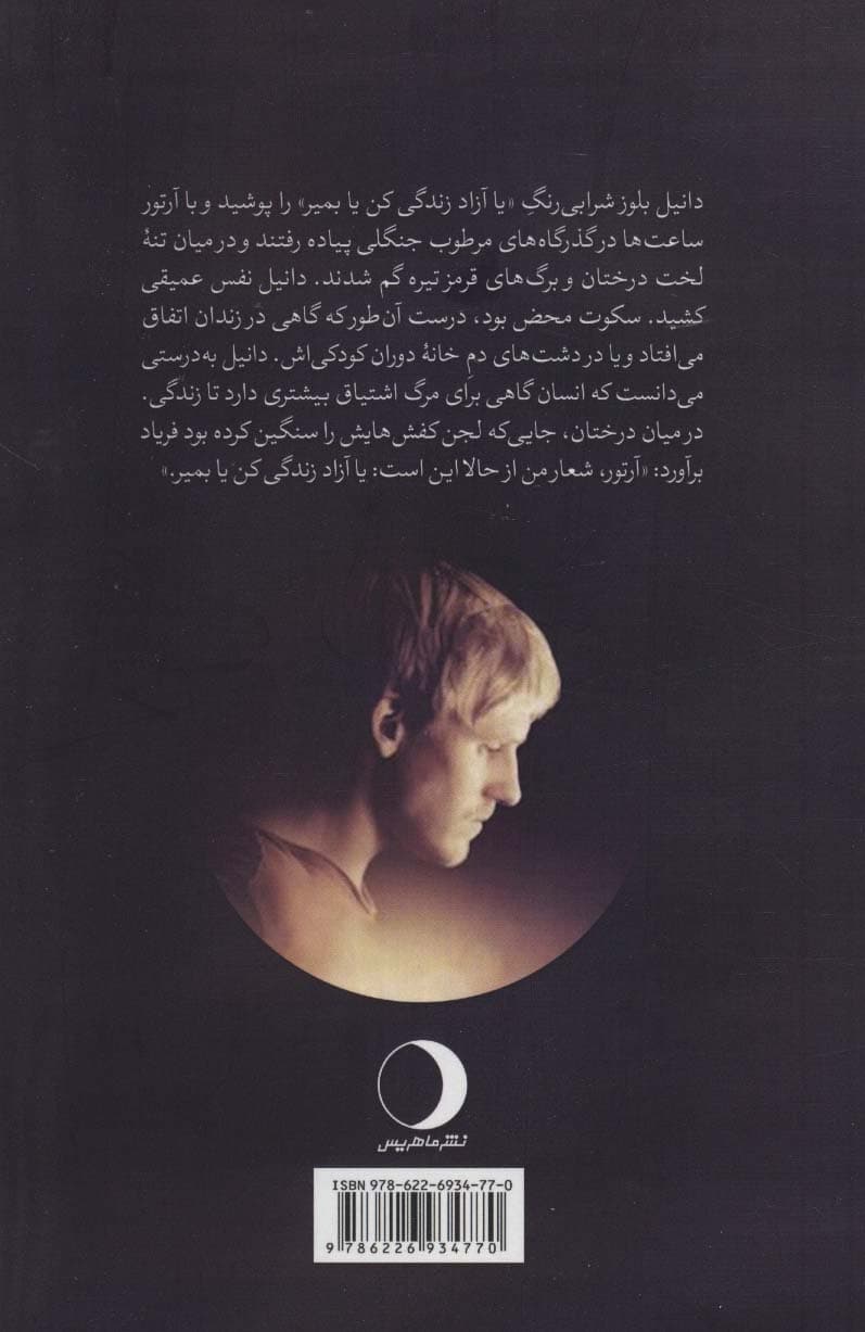 ماه را می بینی دانیل؟ (سیزده ماه در اسارت داعش)