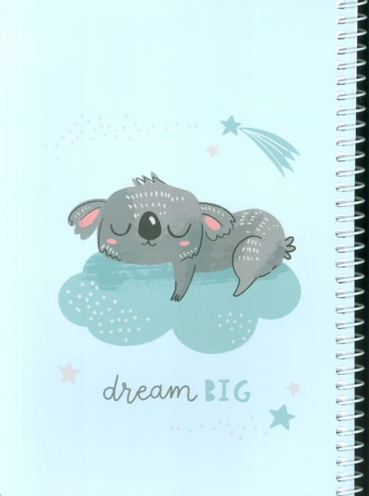 دفتر برنامه ریزی (پلنر قدیما،کدBR)،(چند طرح،سیمی)