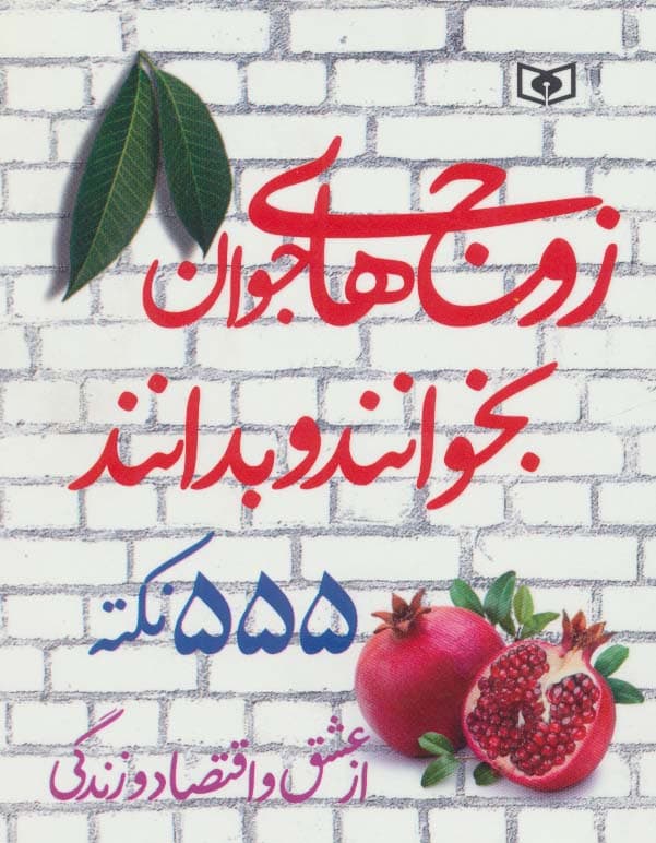 زوج های جوان بخوانند و بدانند (555 نکته از عشق و اقتصاد و زندگی)